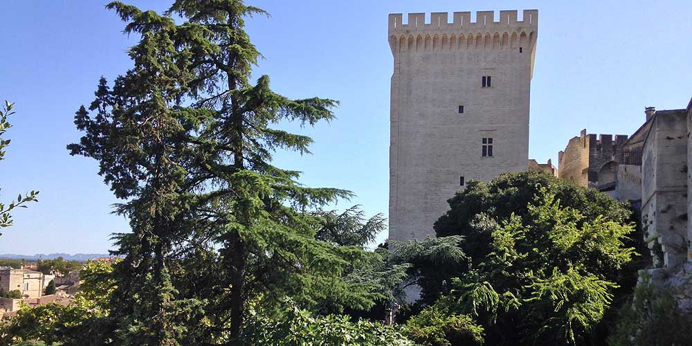 Palais des Papes Avignon